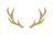 Glenury emblem